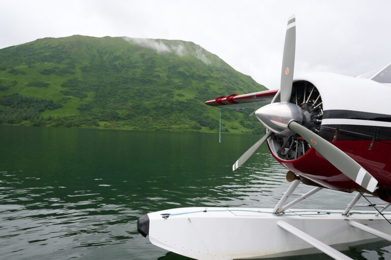 5 Day Bear Viewing in Kodiak Island Alaska