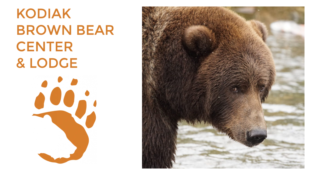 Largest Concentration of Bears in Alaska, Kodiak Island