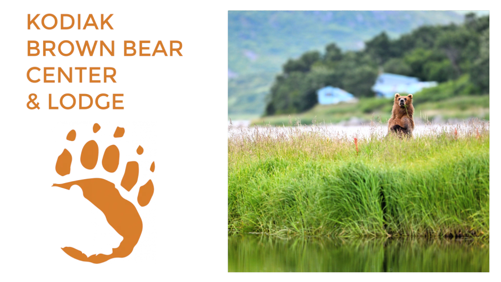 5 Myths About Bears - Busted