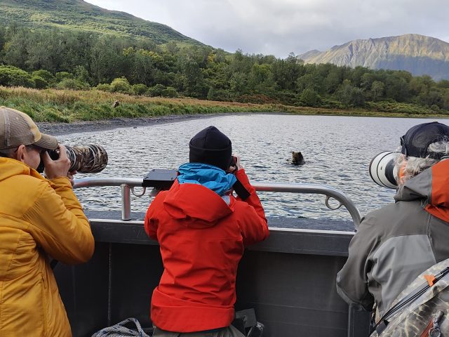 Kodiak Bear Photography: Ultimate Guide to Photographing Alaska’s Largest Bears