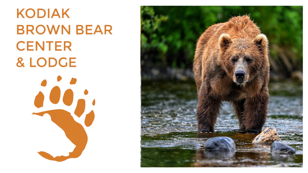 A Kodiak brown bear stands in a stream with rocks, surrounded by green foliage. To the left, orange text reads “Kodiak Brown Bear Center Lodge” above an orange bear paw print.